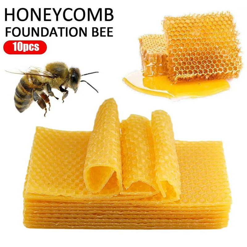 แผ่นขี้ผึ้งธรรมชาติ 10/20 ชิ้น - Candle Supplies Beeswax บทวิจารณ์และราคา