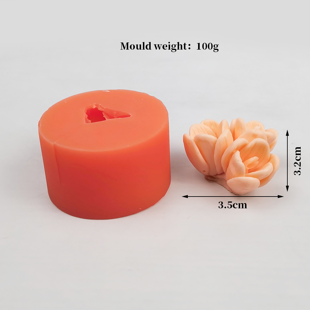 ทิวลิปเทียนแม่พิมพ์คู่มือ DIY  - Candle Supplies Eu บทวิจารณ์และราคา